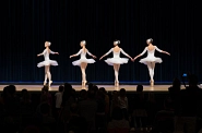 28.01.2024: Tag der offenen Tür in der Stadthalle - Auftritt von 'Judith Kara'