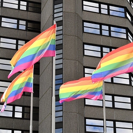 Regenbogenfahnen zum IDAHOBIT-Day